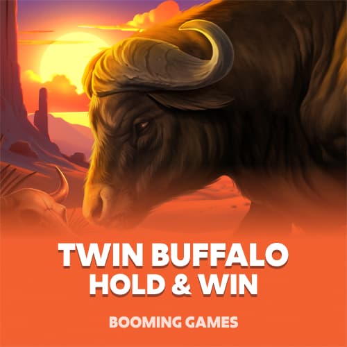 Twin Buffalo: Hold and Win