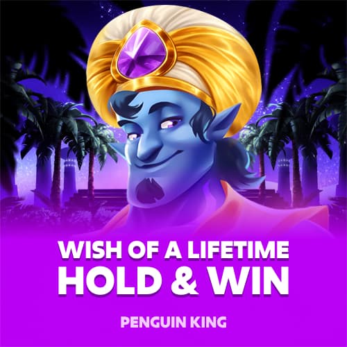 Wish of a Lifetime: Hold and Win