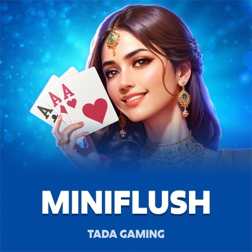 MiniFlush