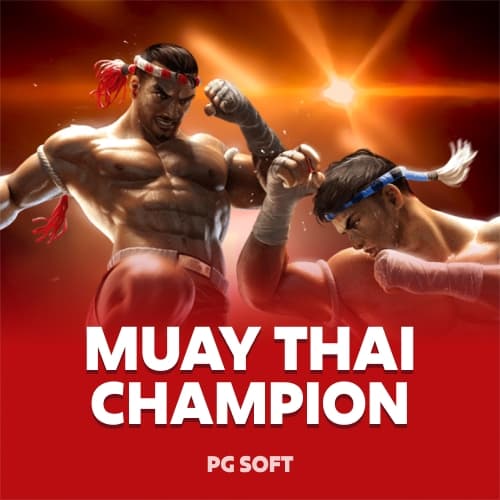 Muay Thai Champion