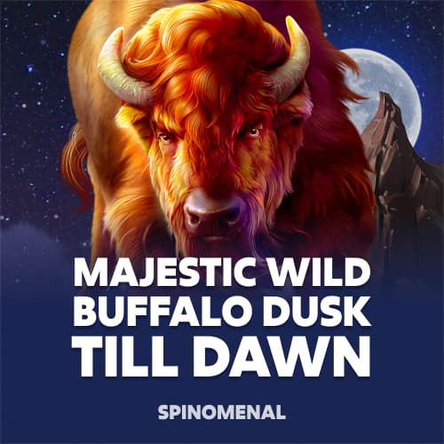 Majestic Wild Buffalo - Dusk Till Dawn