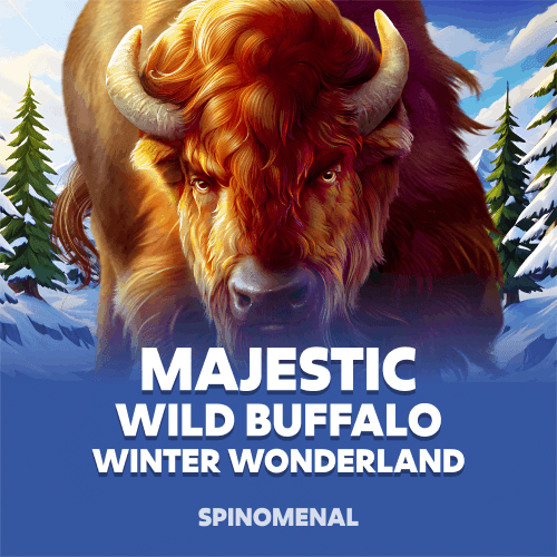 Majestic Wild Buffalo - Winter Wonderland
