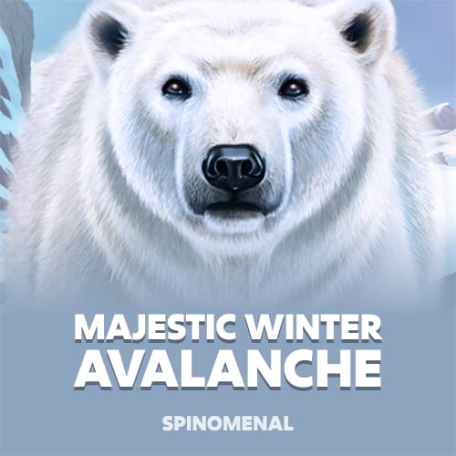 Majestic Winter - Avalanche