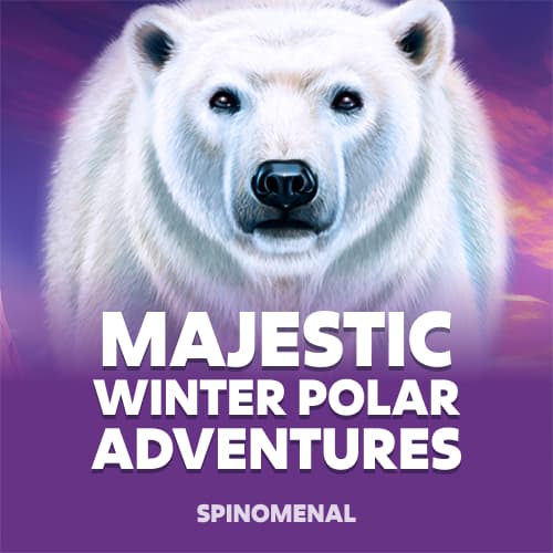 Majestic Winter - Polar Adventures