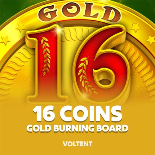 16 Coins Gold Burning Board